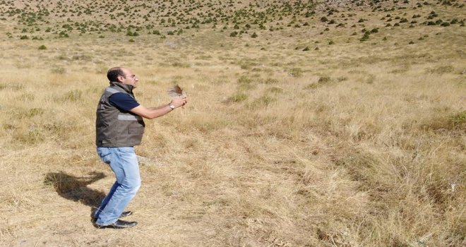 Tedavileri Tamamlanan 12 Keklik Doğaya Bırakıldı
