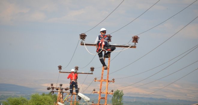 Kuş Ölümleri ‘Kuşkonmaz İle Engelleniyor