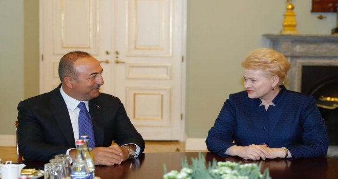 Dışişleri Bakanı Çavuşoğlu Litvanyada