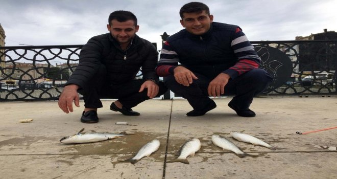 (Özel) Galata Köprüsü Değil Boğulca Deresi