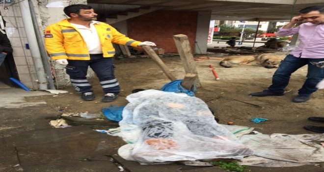 Sokakta Kalp Krizi Geçiren Gürcü Çay İşçisi Hayatını Kaybetti