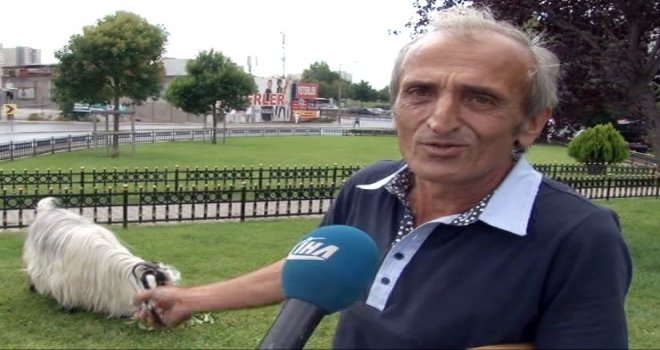 (Özel) Kurbanlık İçin Aldığı Keçiyle Arkadaş Oldu