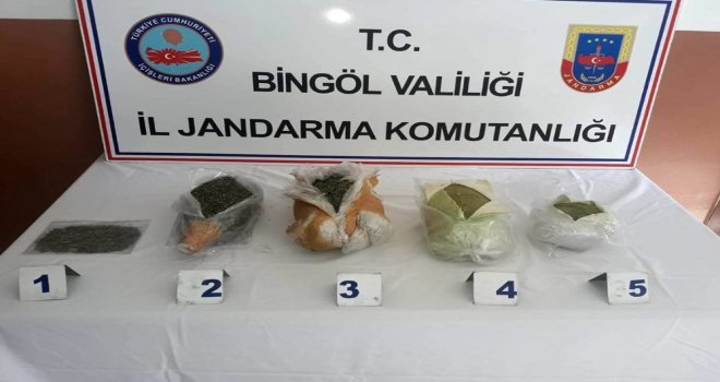 Arı Kovanlarında 4 Kilo Toz Esrar Ele Geçirildi