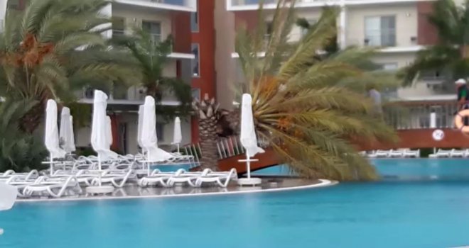 5 Yıldızlı Otel Havuzundaki Palmiye Fırtınaya Dayanamadı