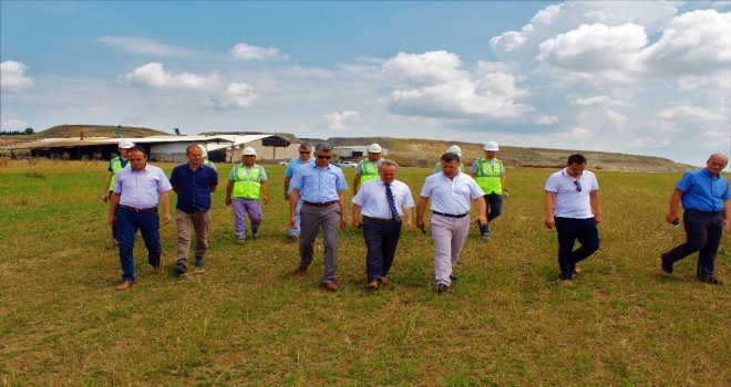 Kömür Üretimi Sona Eren Araziler Meraya Dönüşüyor