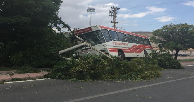 Trafik Kazasında Yolcu Otobüsü Refüje Çıktı