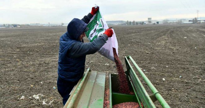 BÜYÜKŞEHİR ÇİFTÇİLERİN YANINDA: 25 İLÇEDE TOHUM DESTEĞİ