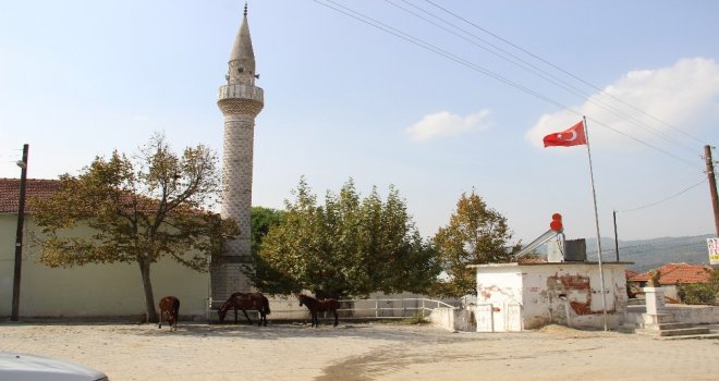 Herkes Bu Söylentinin Doğru Çıkması İçin Dua Ediyor