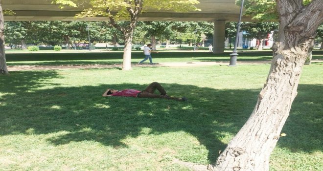 Sıcaklardan Bunalanlar Ağaç Gölgesinde Serinliyor