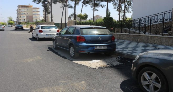 Adıyamanda Fıkra Gibi Asfaltlama