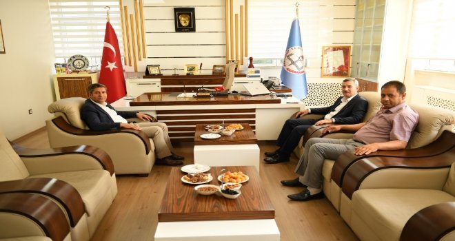 Çınardan Eğitim Vurgusu