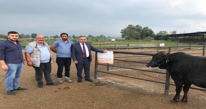 Düzcede Kurban Bayramı Öncesi Tedbirler Hazır