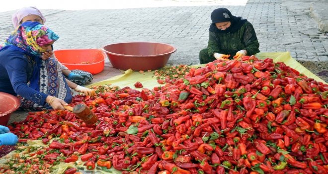 (Özel) Suriye Sınırında Sofralara Tat Veren Acı