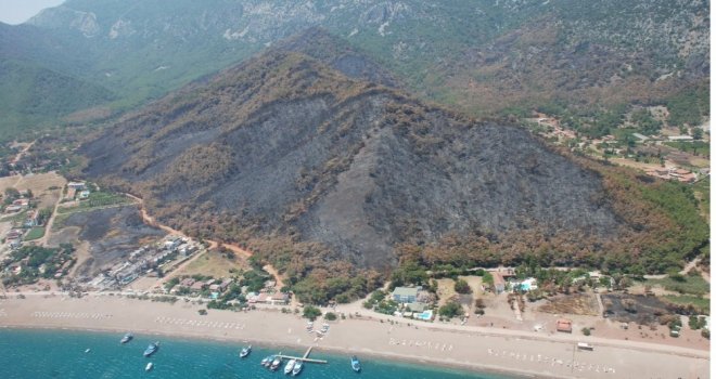 Vali Karaloğlu: Orman Yangınıyla İlgili Her Türlü Soruşturma Titizlikle Yürütülüyor