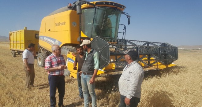 Vanda Hububat Hasadı Başladı