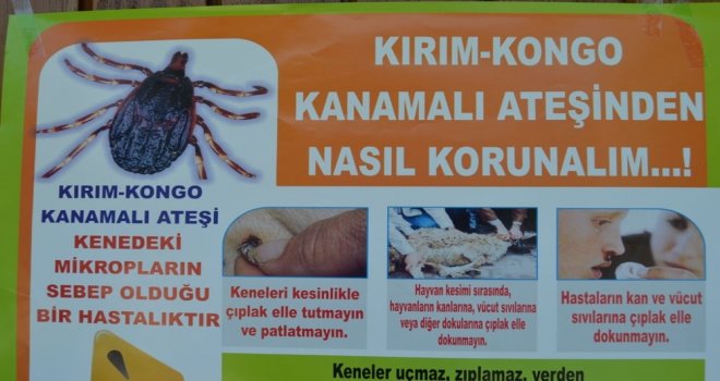 “Keneyi Hafife Alma Tedbiri Elden Bırakma”