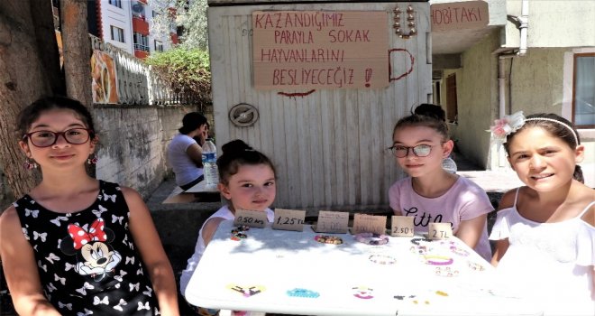 Miniklerden Sokak Hayvanları İçin Anlamlı Proje