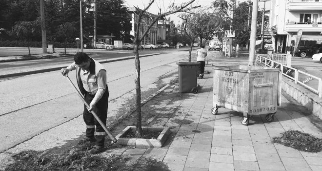 Düzcede Cadde Ve Sokaklar Temizleniyor