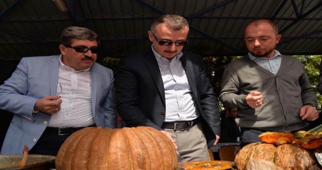 “Geleneksel 5. Kestane Kabağı Festivali