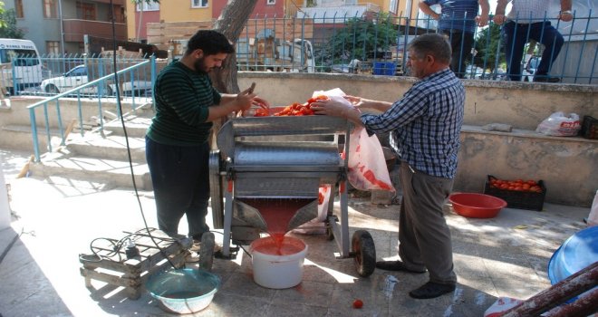 Domates Çekme Makinesi Kadınların İşini Kolaylaştırdı