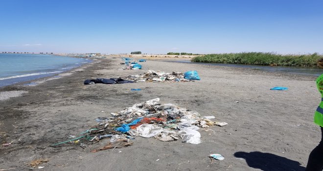 Van Gölü Sahilinde 40 Ton Çöp Toplandı