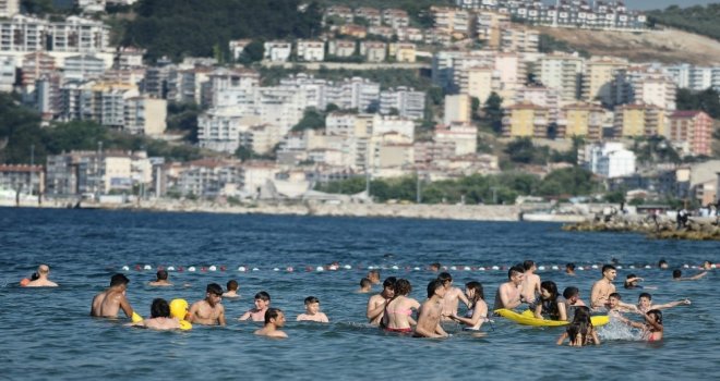 Bursa Sahillerinden Sevindirici Haber