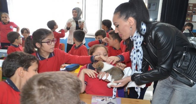 Bafrada İlkokul Öğrencilerine Hayvan Sevgisi Aşılanıyor