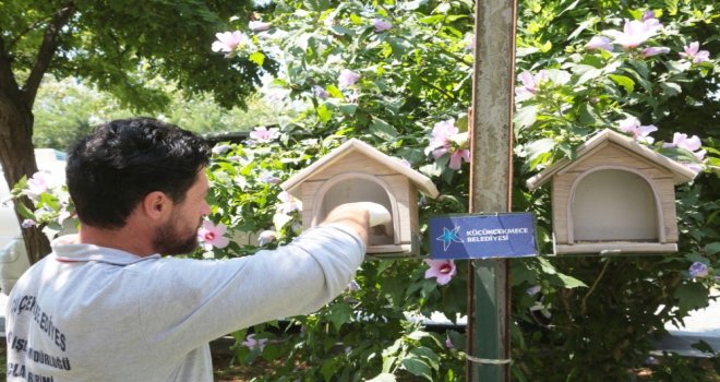 Küçükçekmecede Sokak Hayvanlarına Yem Ve Su Takviyesi