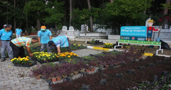 Alanya Belediyesi 21 Mezarlıkta 55 Bin Çiçek Dağıtacak