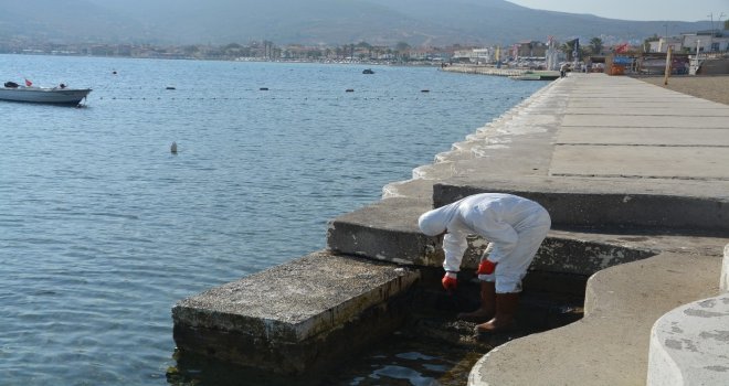 Denizdeki Petrol Sızıntısının Kaynağını Tübitak Da Araştırıyor