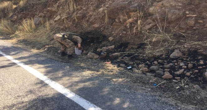 Beytüşşebapta Orman Yangını