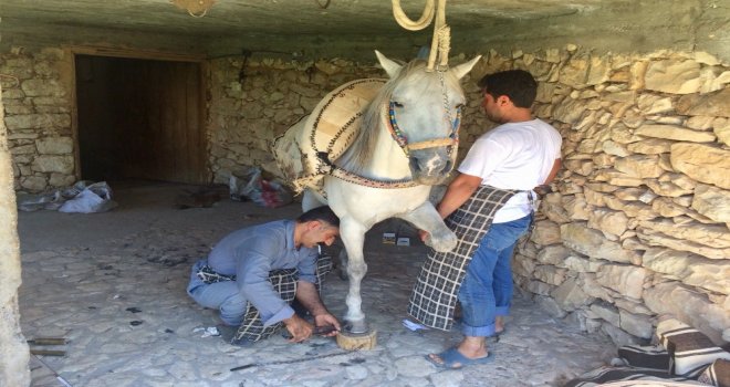 Nalcılık Kaybolmaya Yüz Tuttu