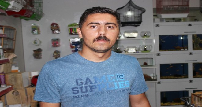 Hataylı Esnaftan Döviz Çağrısına Tam Destek