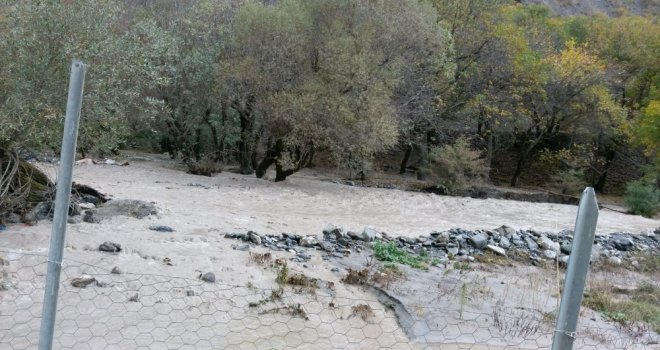 Hakkarideki Selin Ardından