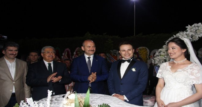 Bakan Soylu, Düzcede Nikah Şahidi Oldu