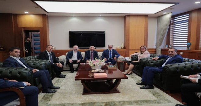 Van Tso Meclis Başkanı Ertürkten Ticaret Bakanı Ruhsar Pekcana Ziyaret