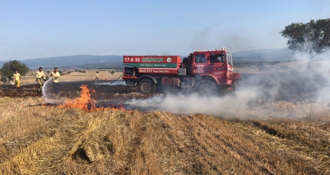 Kargadan Çıktığı Sanılan Yangında 10 Dönüm Buğday Tarlası Yandı