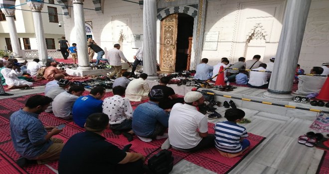 Japonyada Kurban Bayramı Coşkusu