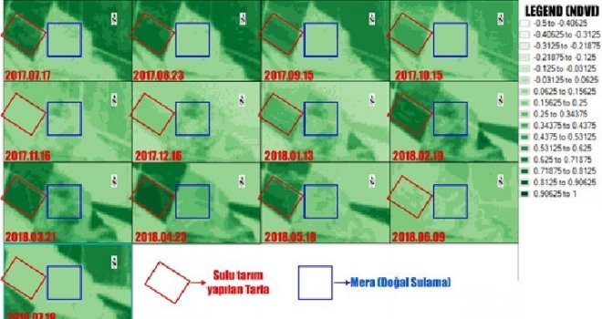 Kaçak Elektrik İle Sulanan Alanlar Rengini Böyle Belli Ediyor