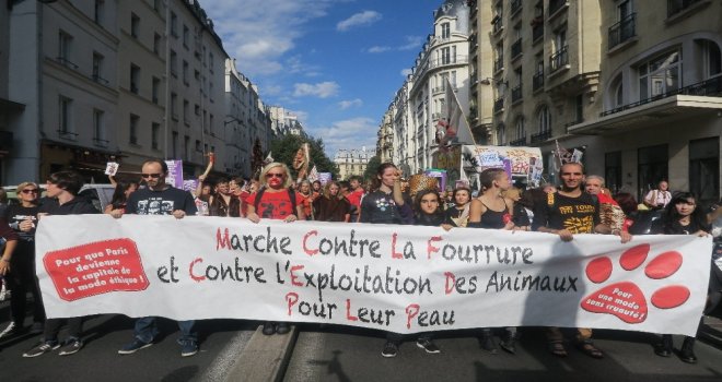Pariste Kürk Karşıtı Protesto