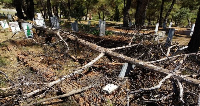 Kuruyan Ağaçlar Mezarların Üzerine Yıkıldı