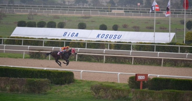 Biga Koşusunda 56 Bin Liralık Ödül Sahibini Buldu