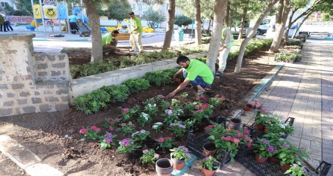 Haliliyedeki Parklarda Peyzaj Çalışmaları