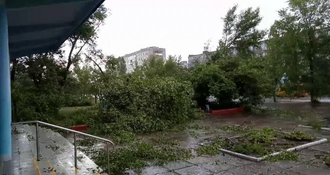 Rusyada Kasırga Ağaçları Köklerinden Söktü