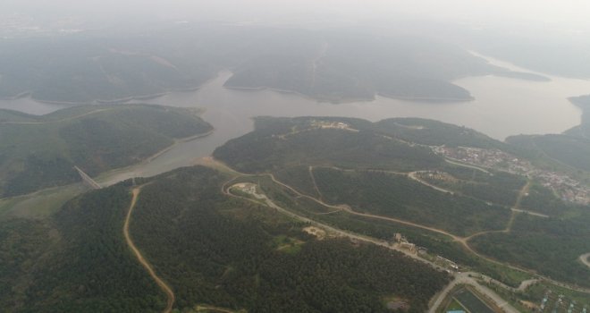 Sultangazi Mimar Sinan Şehir Ormanında  Cemal Kaşıkçının İzi Arandı