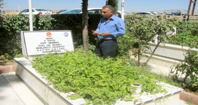 Arabanlılar Mezarlıklara Akın Etti