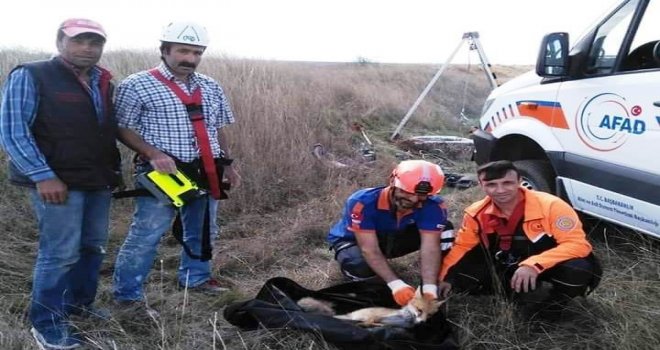 Kuyuya Düşen Tilkiyi Afad Kurtardı