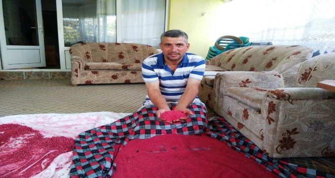 Çekirdekten Yetiştiriyor, Üretiyor, Satıyor