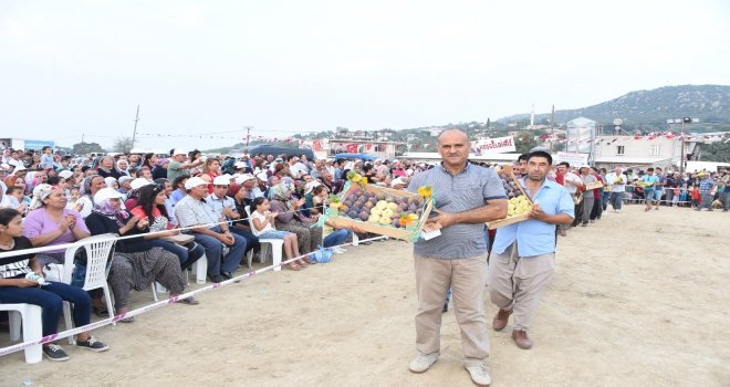 Tarsus İnciri Şölenle Tanıtılacak