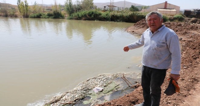 Kızılırmaktaki Balık Ölümleriyle İlgili İnceleme Başlatıldı